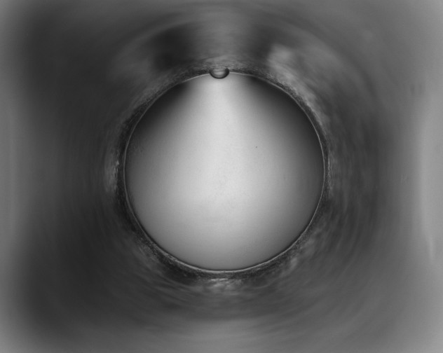 X0000089340153200706151049