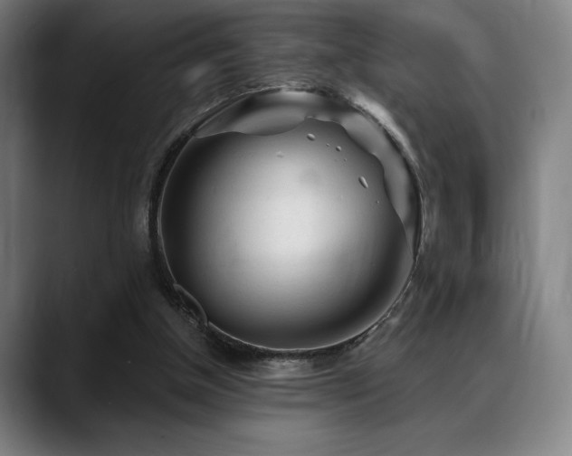 X0000089340154200706151049