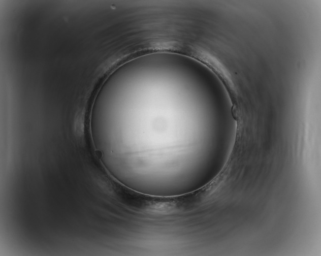 X0000089340155200706151049