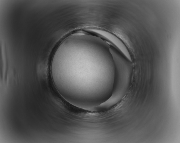 X0000089340156200706151049