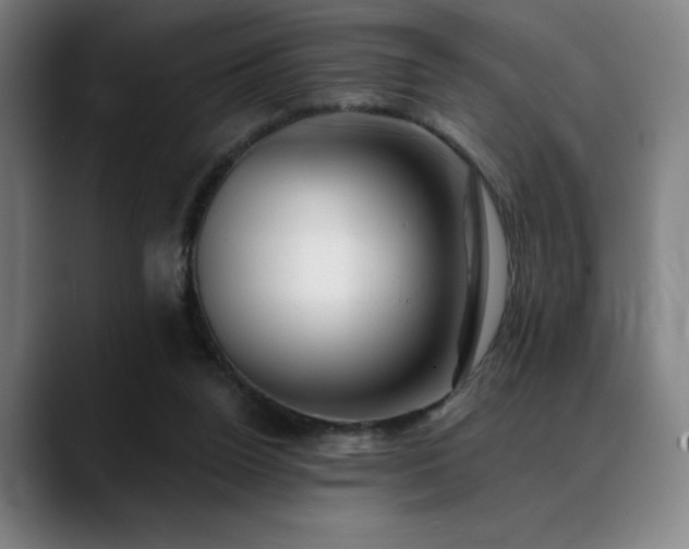 X0000089340160200706151050