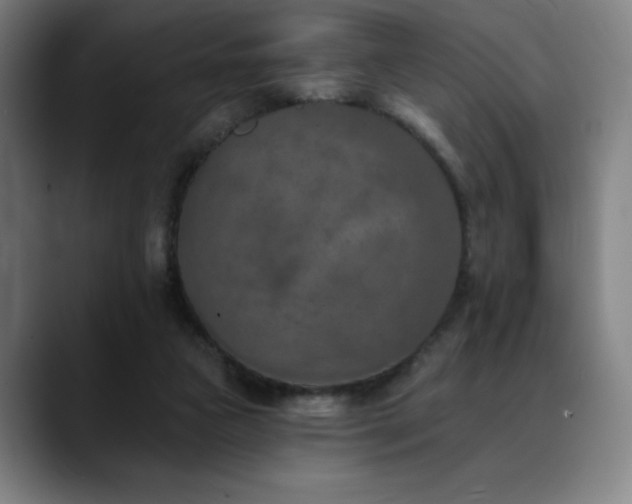 X0000089340161200706151050