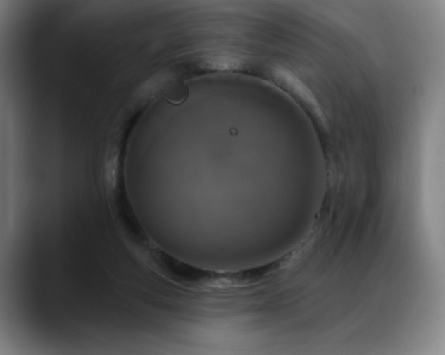 X0000089340163200706151050