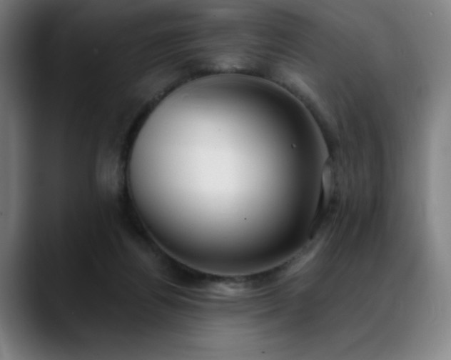 X0000089340164200706151050