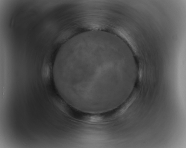 X0000089340165200706151050