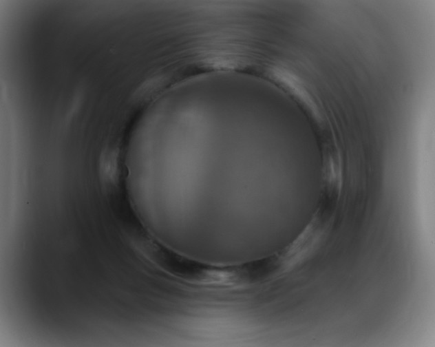 X0000089340167200706151050