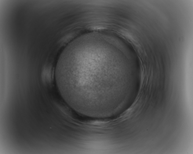X0000089340168200706151050