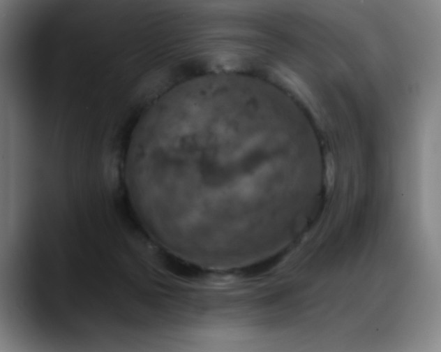 X0000089340169200706151050