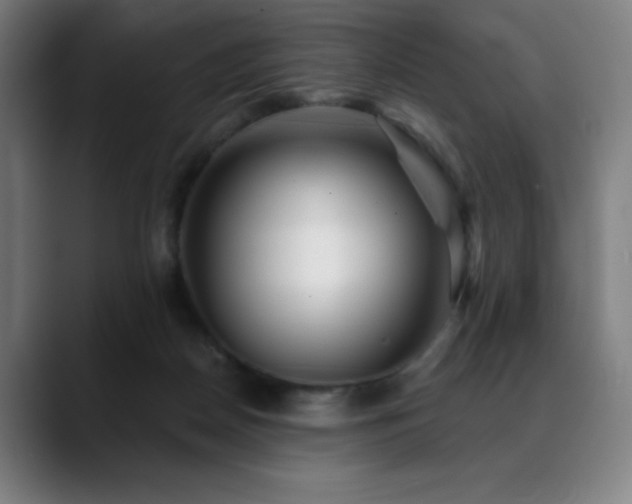 X0000089340170200706151050