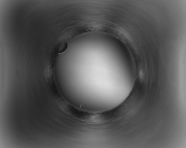 X0000089340173200706151050