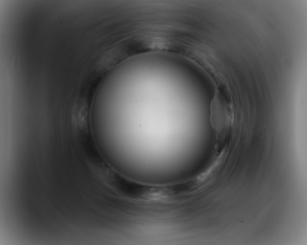 X0000089340175200706151050