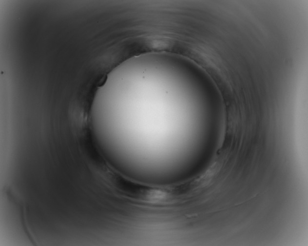 X0000089340176200706151050