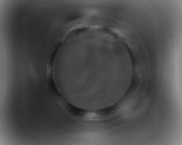 X0000089340177200706151050
