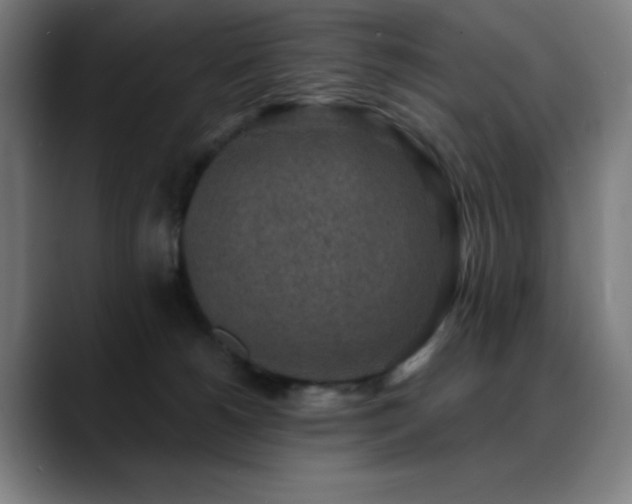 X0000089340180200706151050