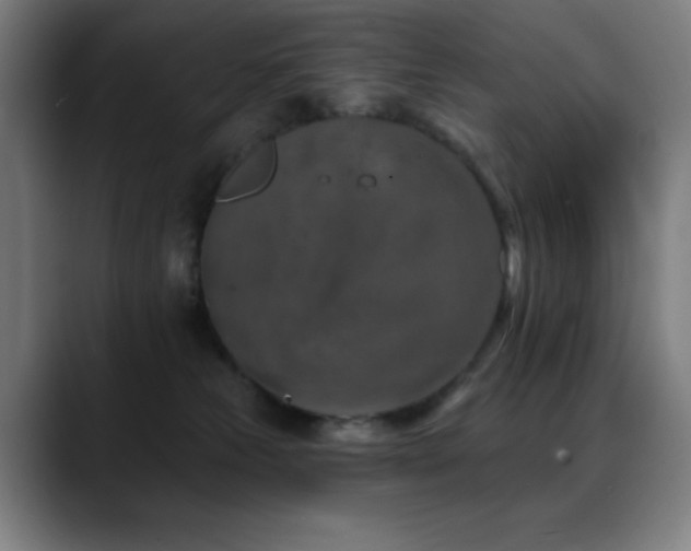 X0000089340181200706151050