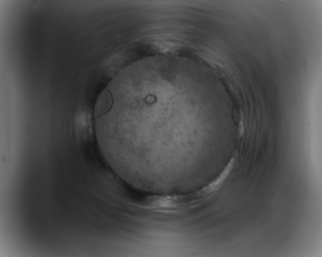 X0000089340182200706151050