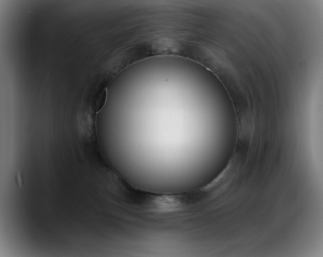 X0000089340183200706151050