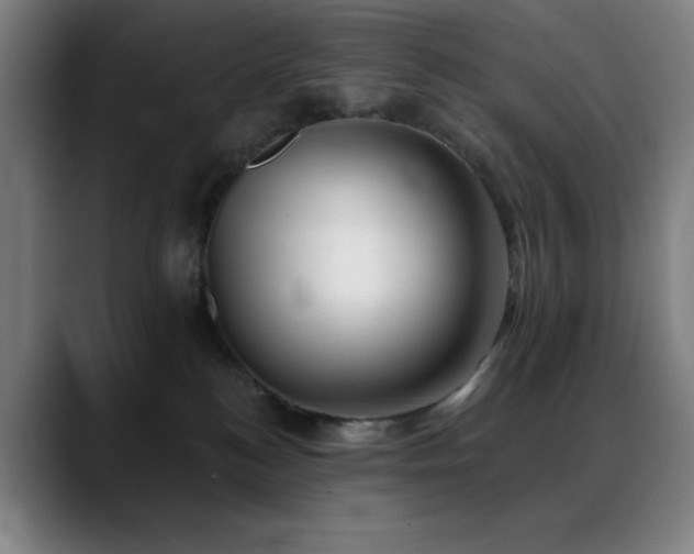 X0000089340184200706151050