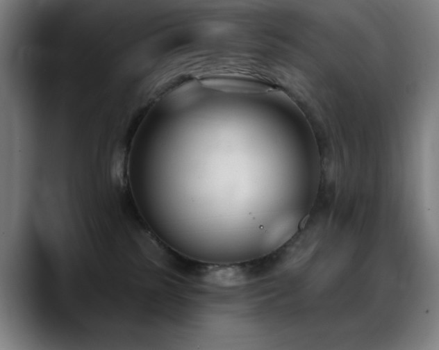 X0000089340185200706151050
