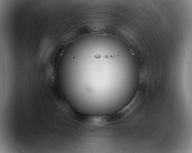 X0000089340187200706151050