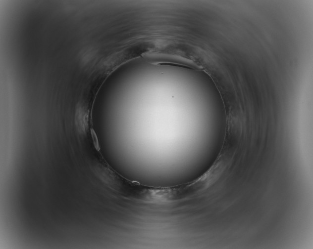 X0000089340188200706151050