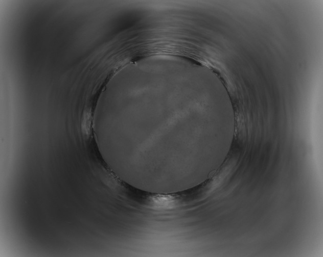 X0000089340189200706151050