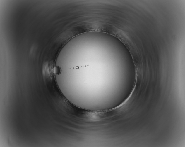 X0000089340190200706151050
