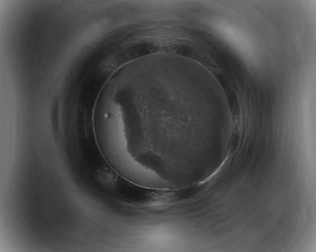 X0000089340191200706151050