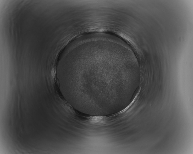 X0000089340192200706151050