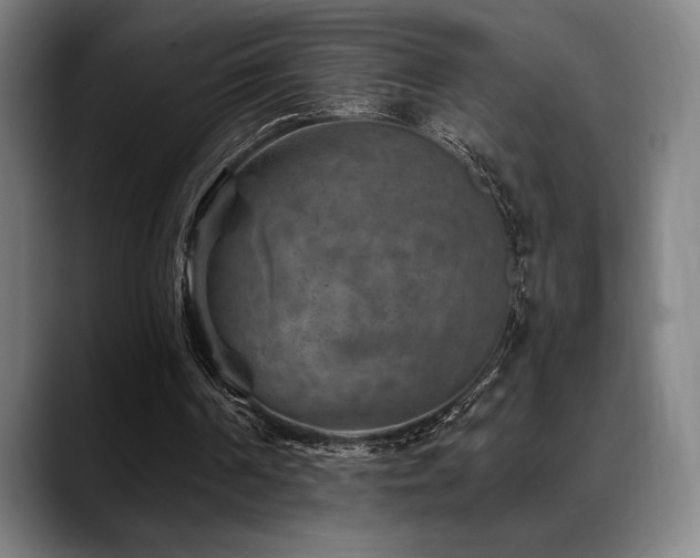 X0000089340194200706151049