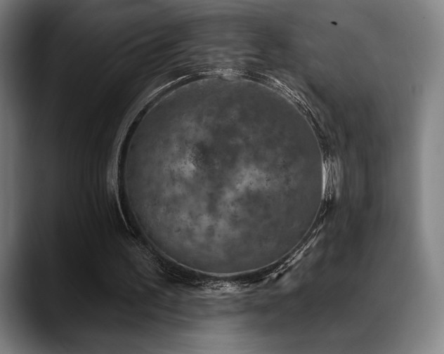 X0000089340195200706151049