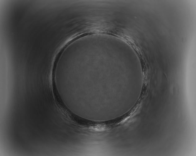 X0000089340196200706151049