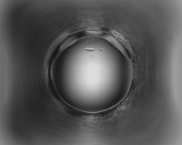 X0000089340197200706151049