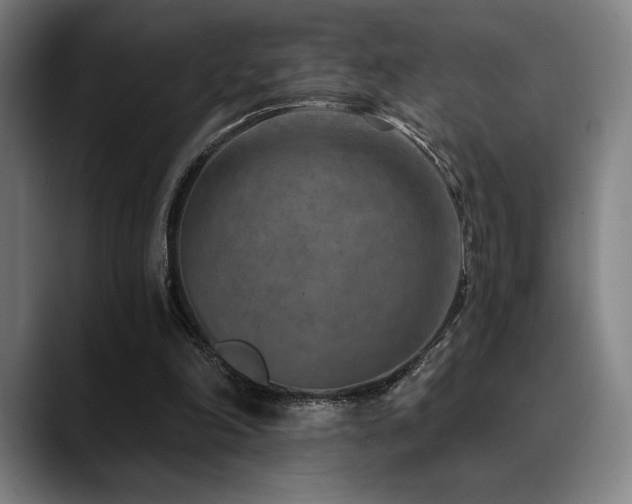 X0000089340198200706151049