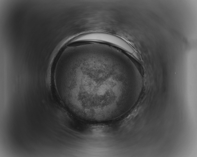 X0000089340200200706151049