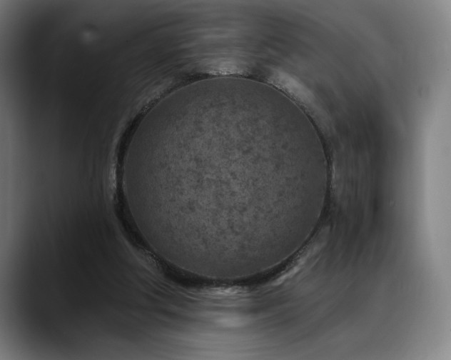 X0000089340202200706151049