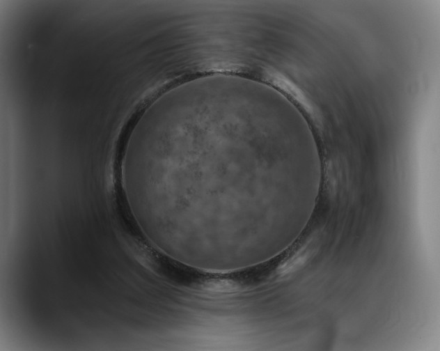 X0000089340203200706151049