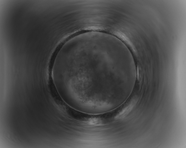 X0000089340204200706151049