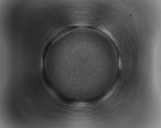 X0000089340205200706151049