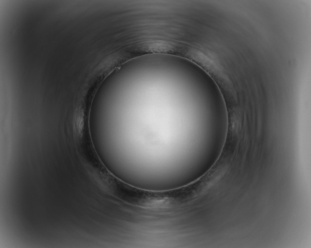 X0000089340206200706151049