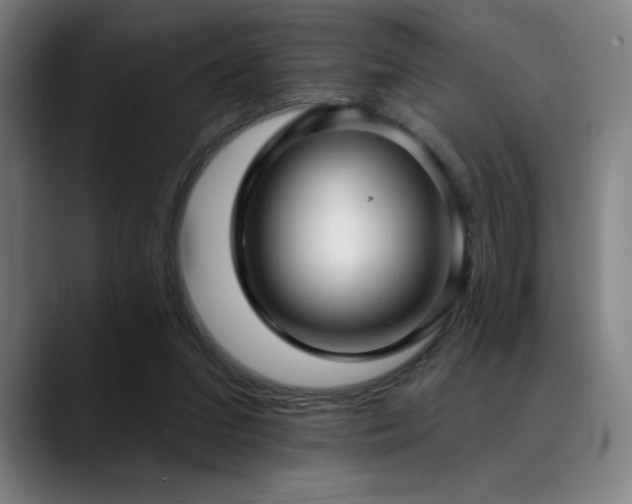 X0000089340207200706151049
