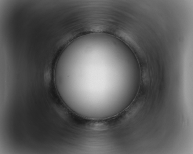 X0000089340208200706151049