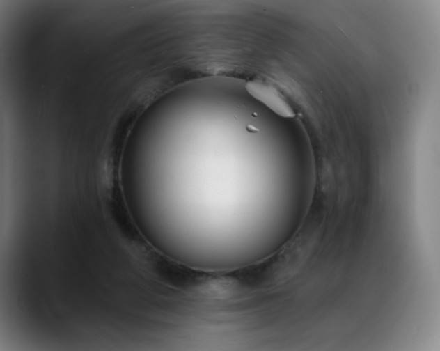 X0000089340210200706151049