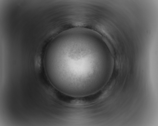 X0000089340211200706151049