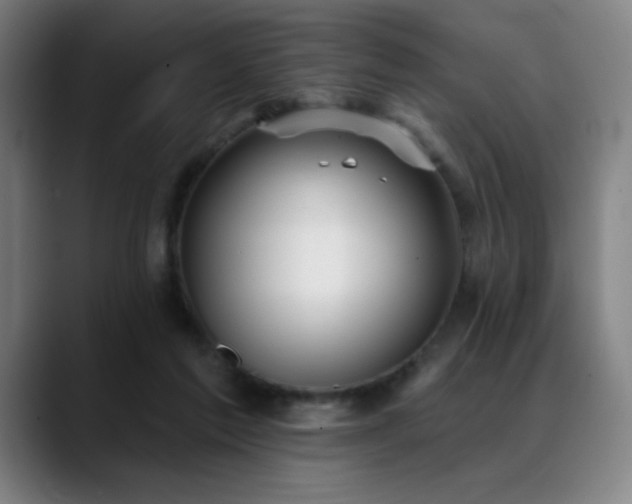 X0000089340213200706151049