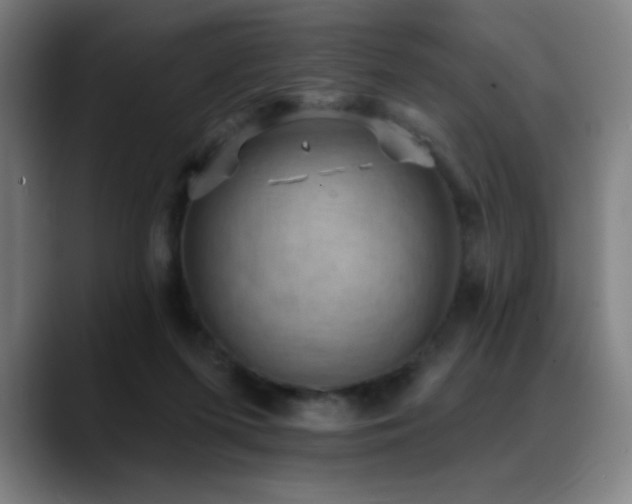 X0000089340215200706151049