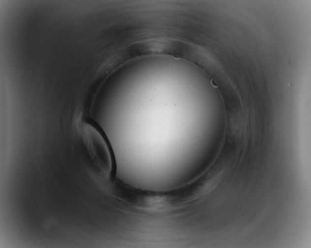 X0000089340216200706151049