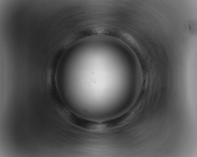 X0000089340217200706151049