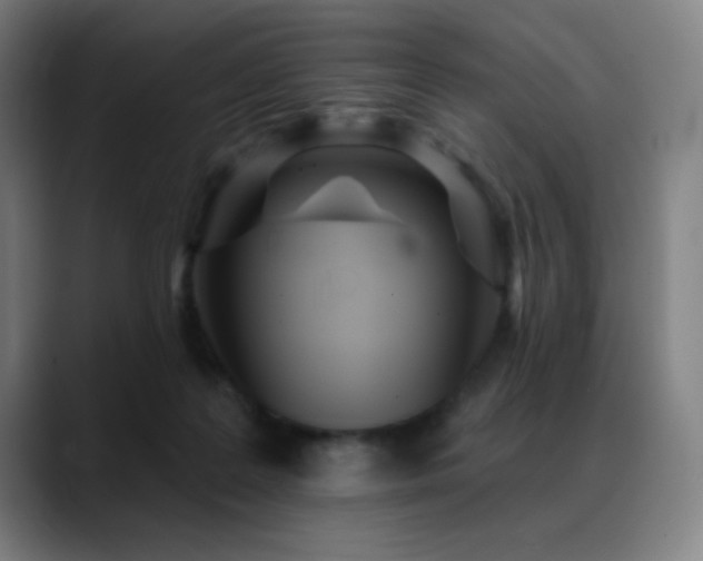X0000089340219200706151049