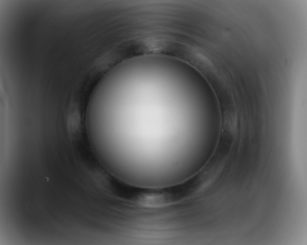 X0000089340220200706151049